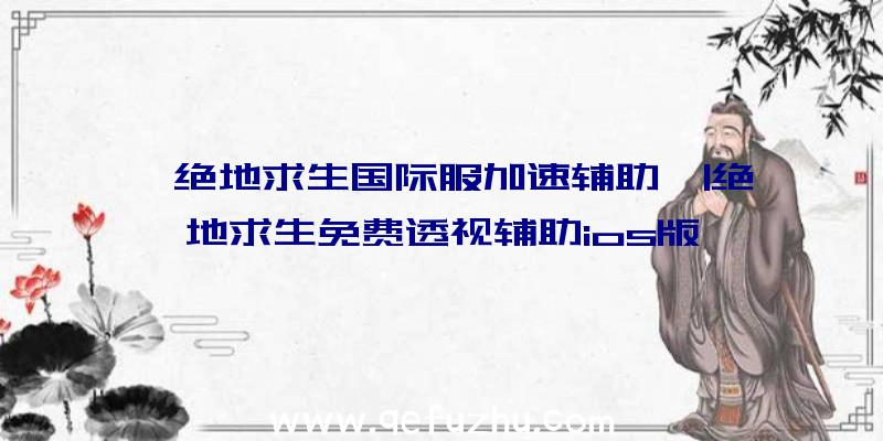 「绝地求生国际服加速辅助」|绝地求生免费透视辅助ios版